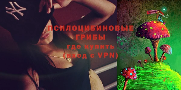 ALPHA PVP Куйбышев