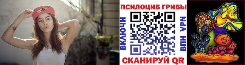 где продают наркотики  кракен сайт  Галлюциногенные грибы Psilocybe  Тюмень 